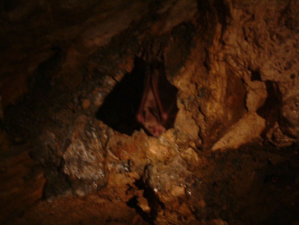 DSCF0193.JPG