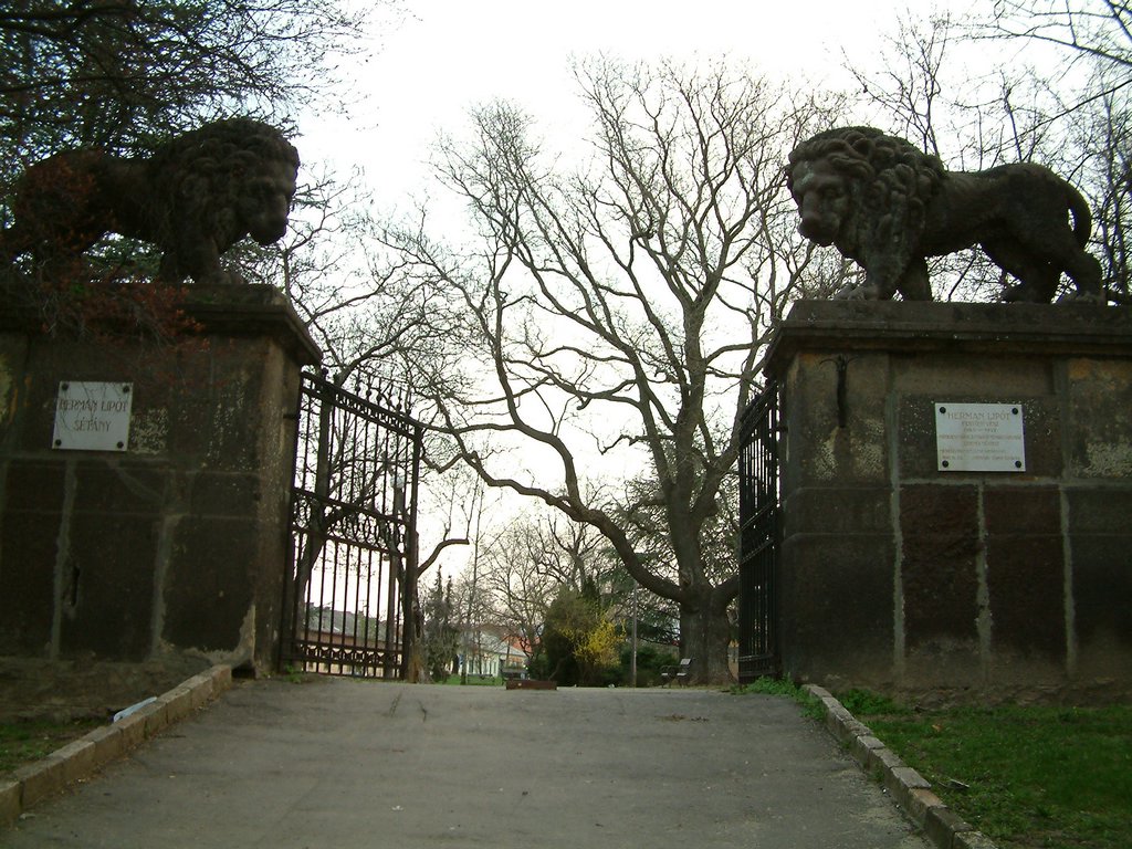 DSCF0002.JPG