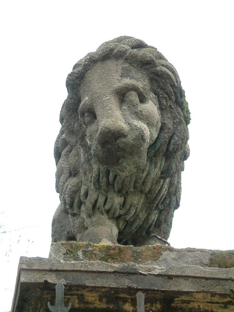 DSCF0008.JPG