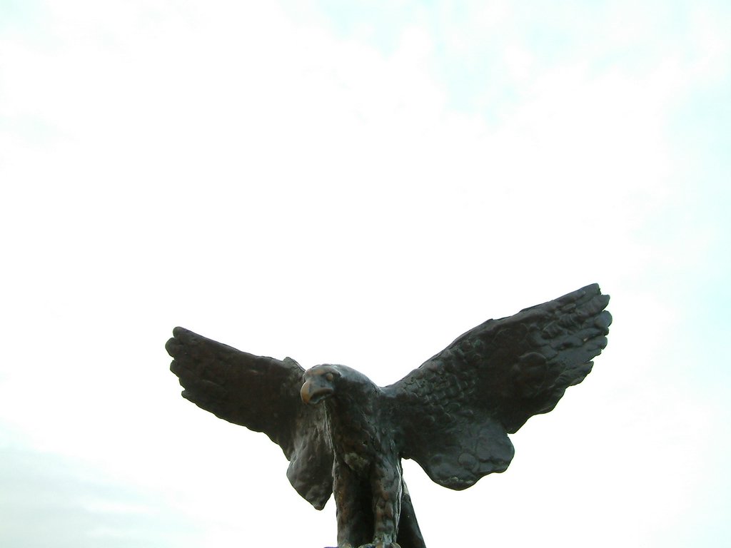 DSCF0010.JPG