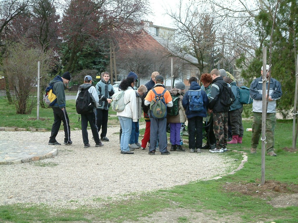 DSCF0018.JPG