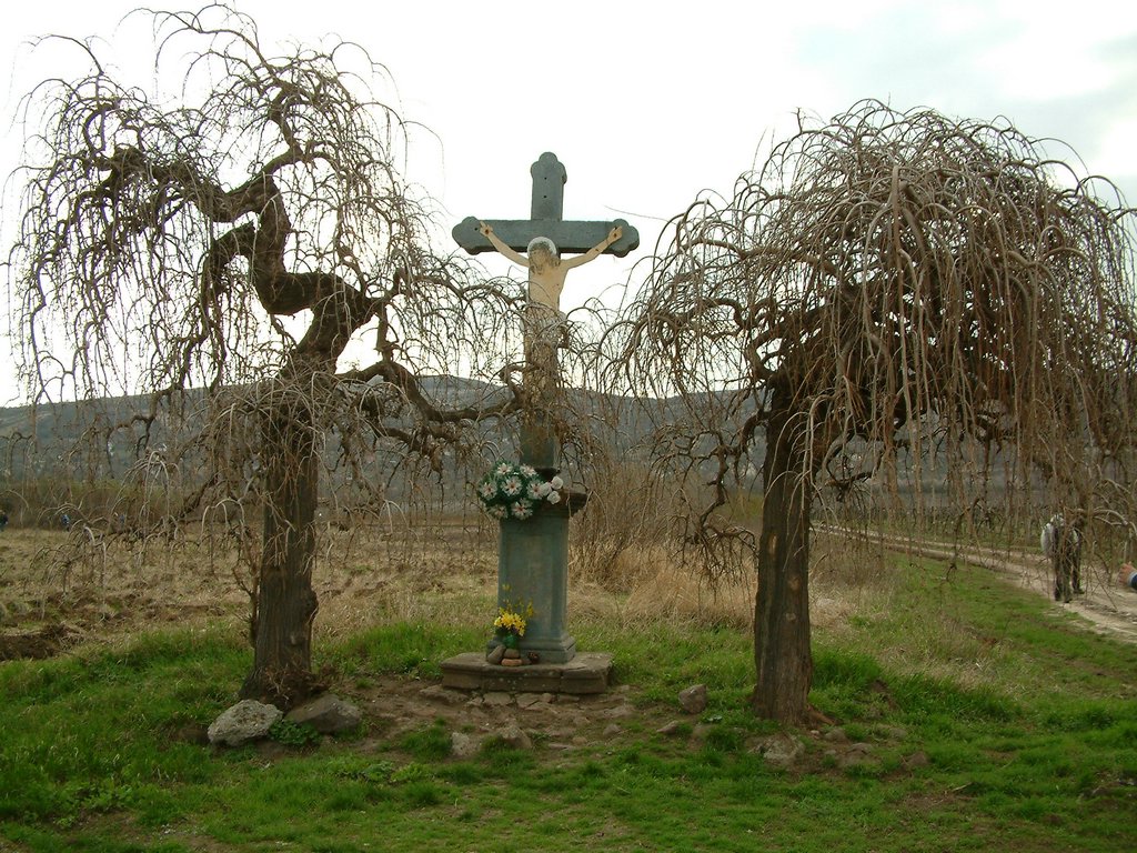 DSCF0025.JPG