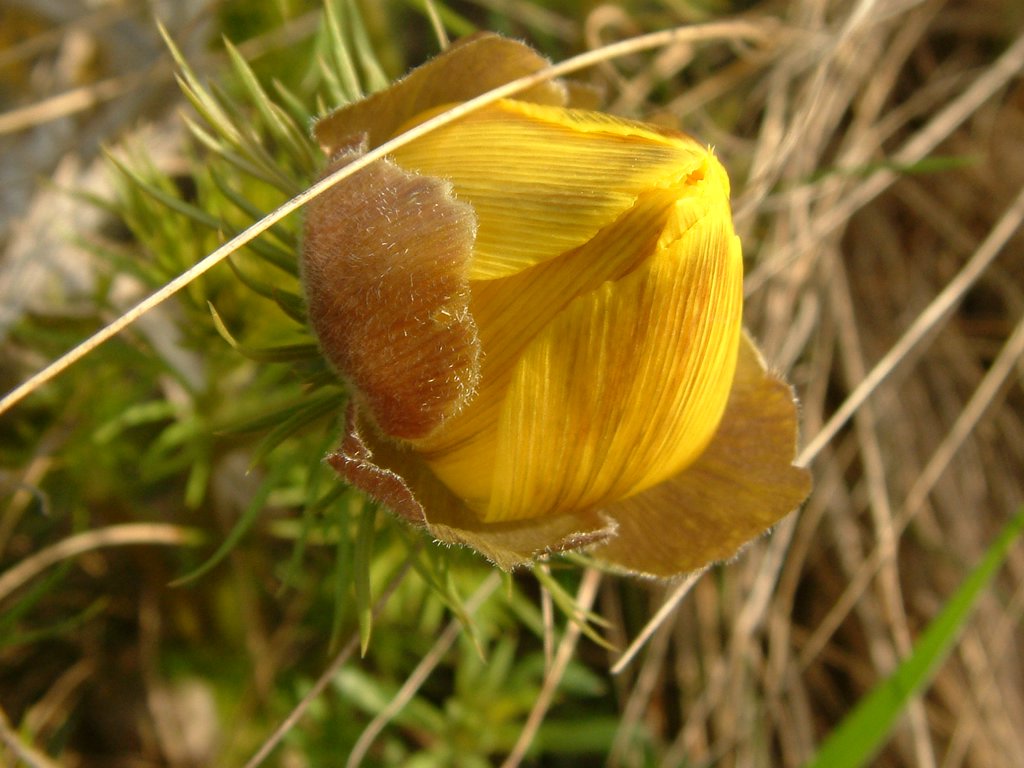 DSCF0033.JPG