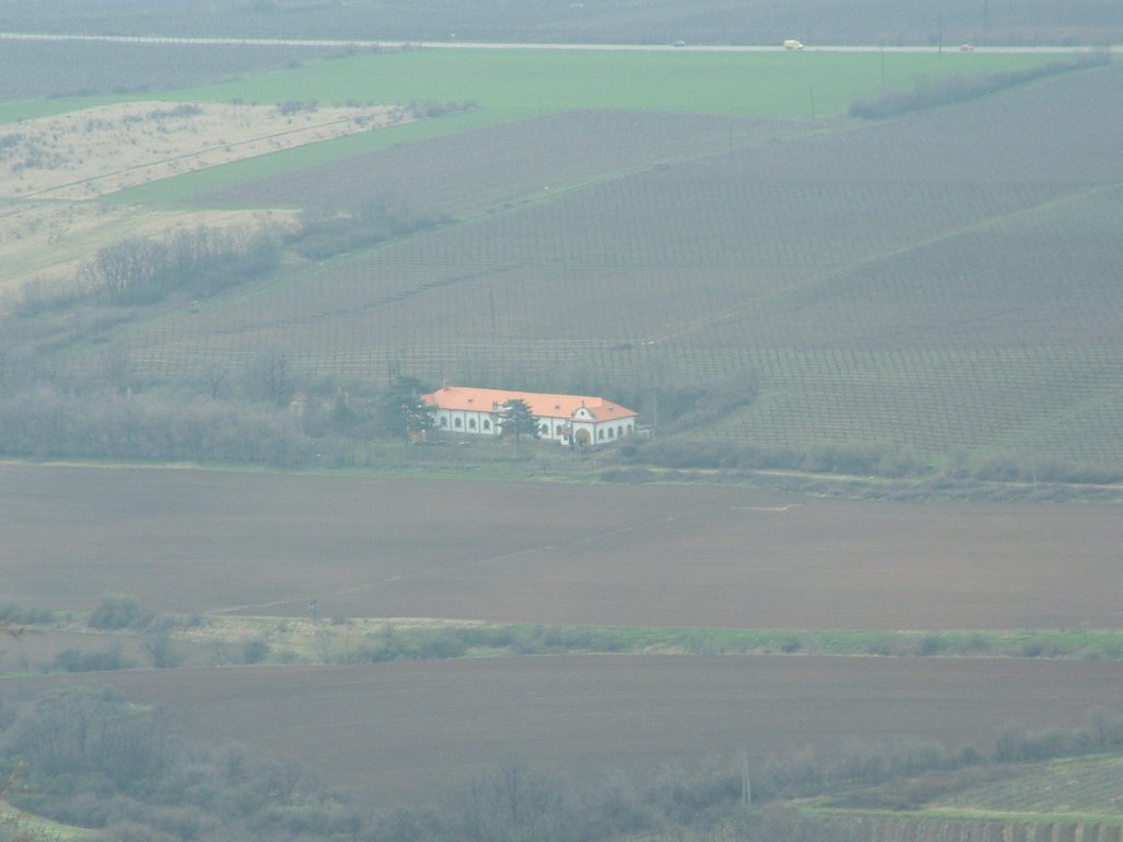DSCF0036.JPG