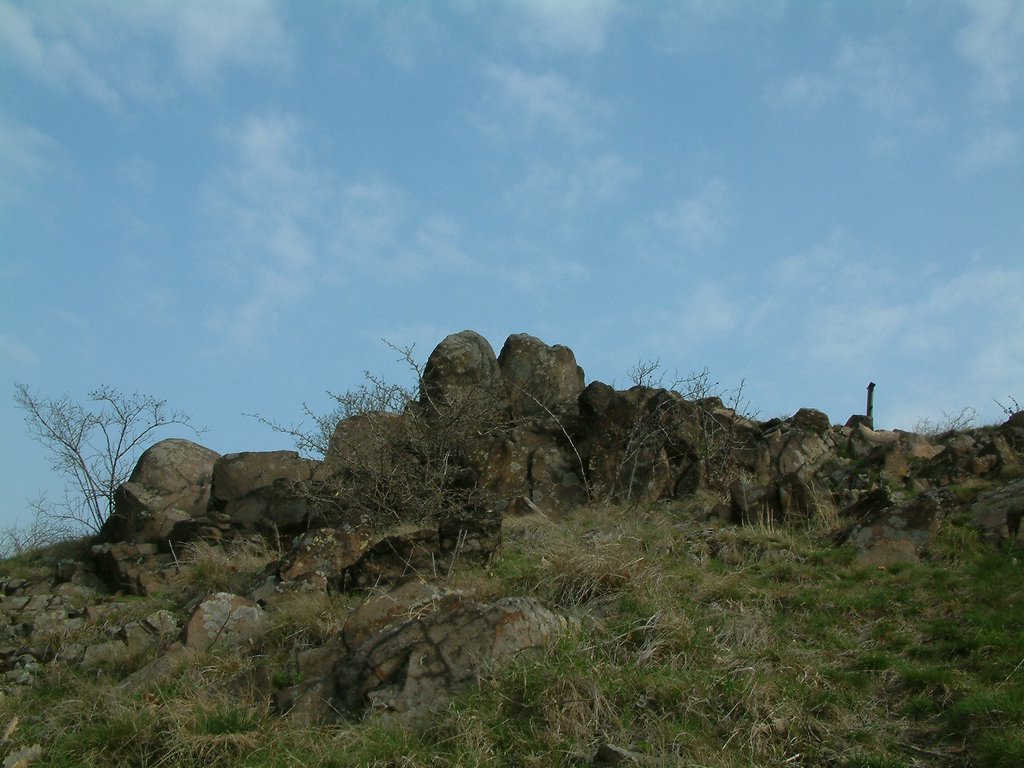 DSCF0037.JPG