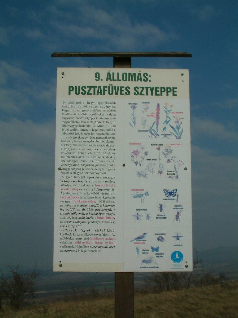 DSCF0044.JPG