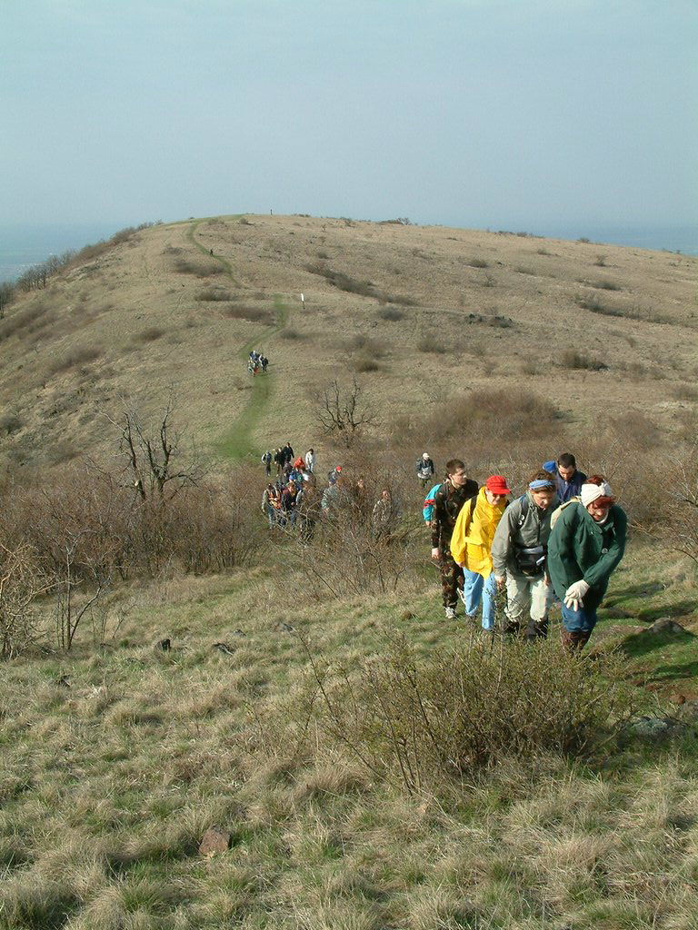 DSCF0045.JPG