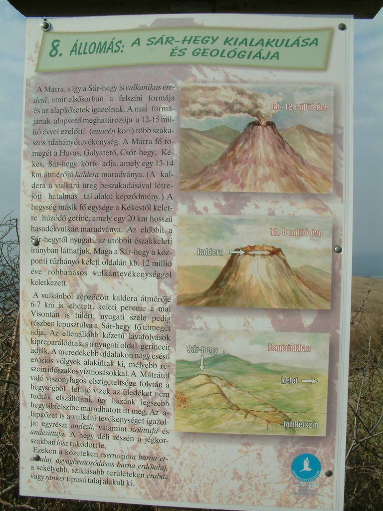 DSCF0046.JPG