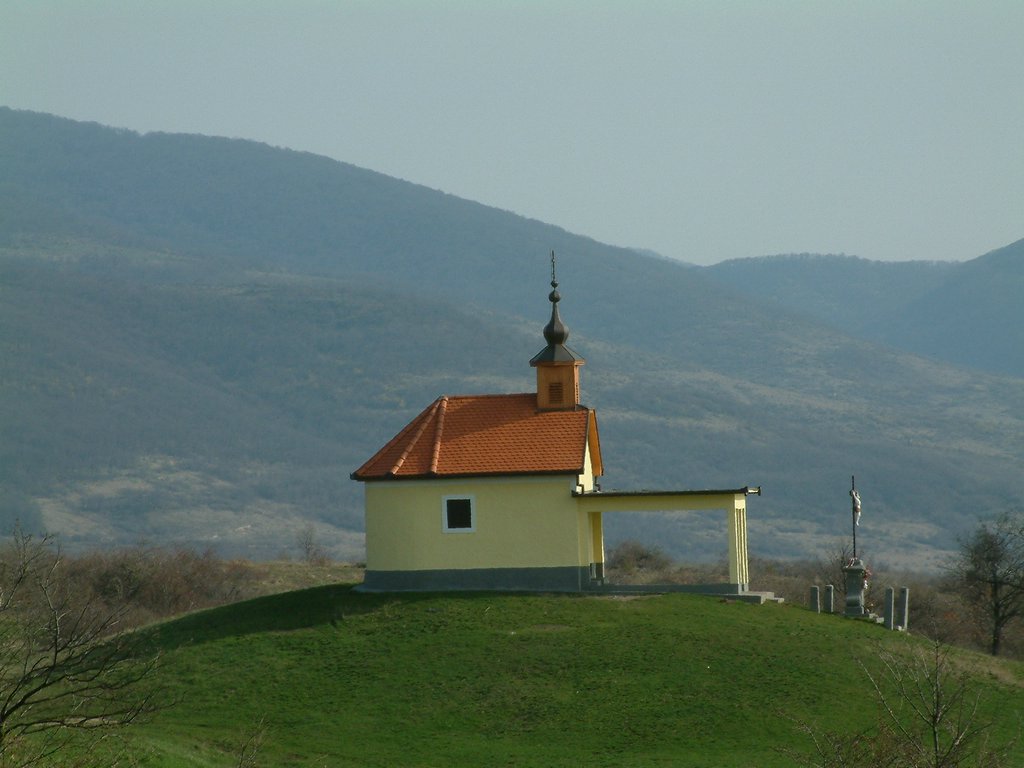 DSCF0050.JPG