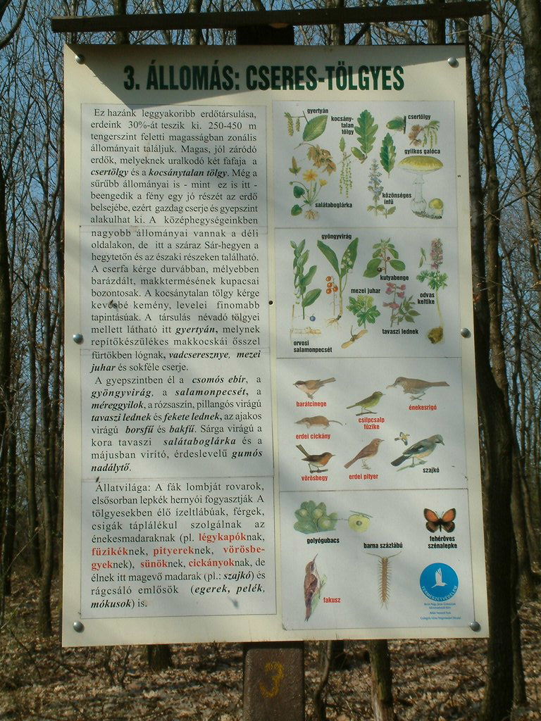 DSCF0068.JPG
