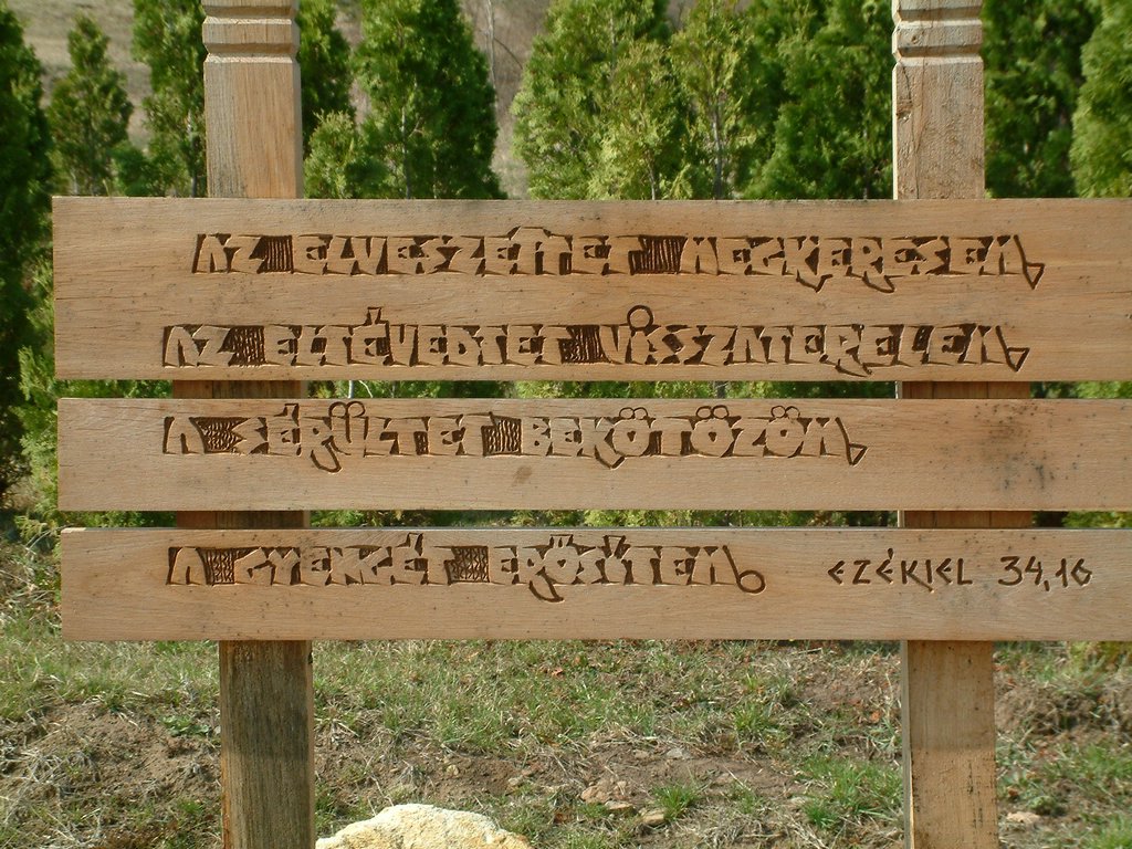 DSCF0078.JPG