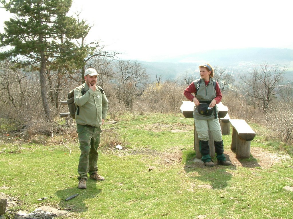 DSCF0085.JPG