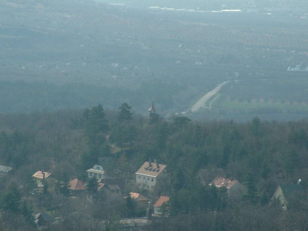 DSCF0086.JPG