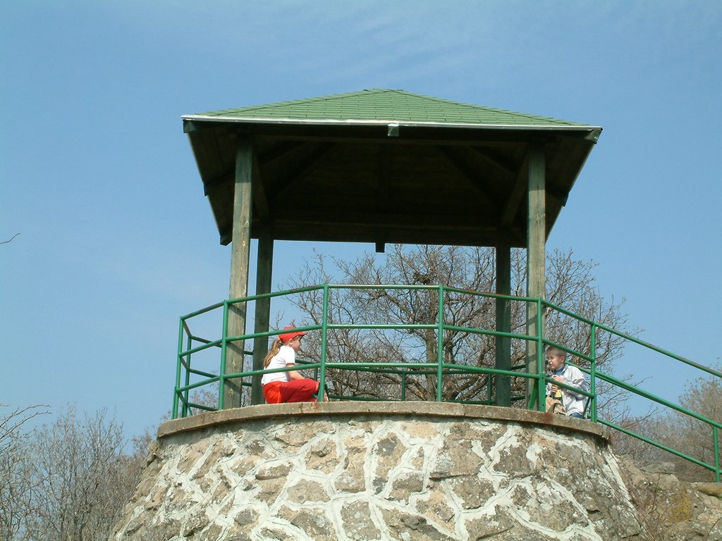 DSCF0087.JPG