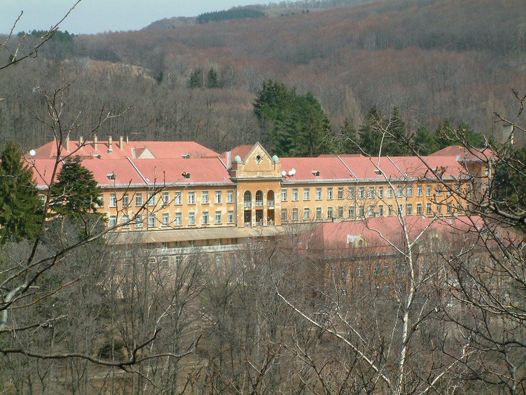DSCF0096.JPG