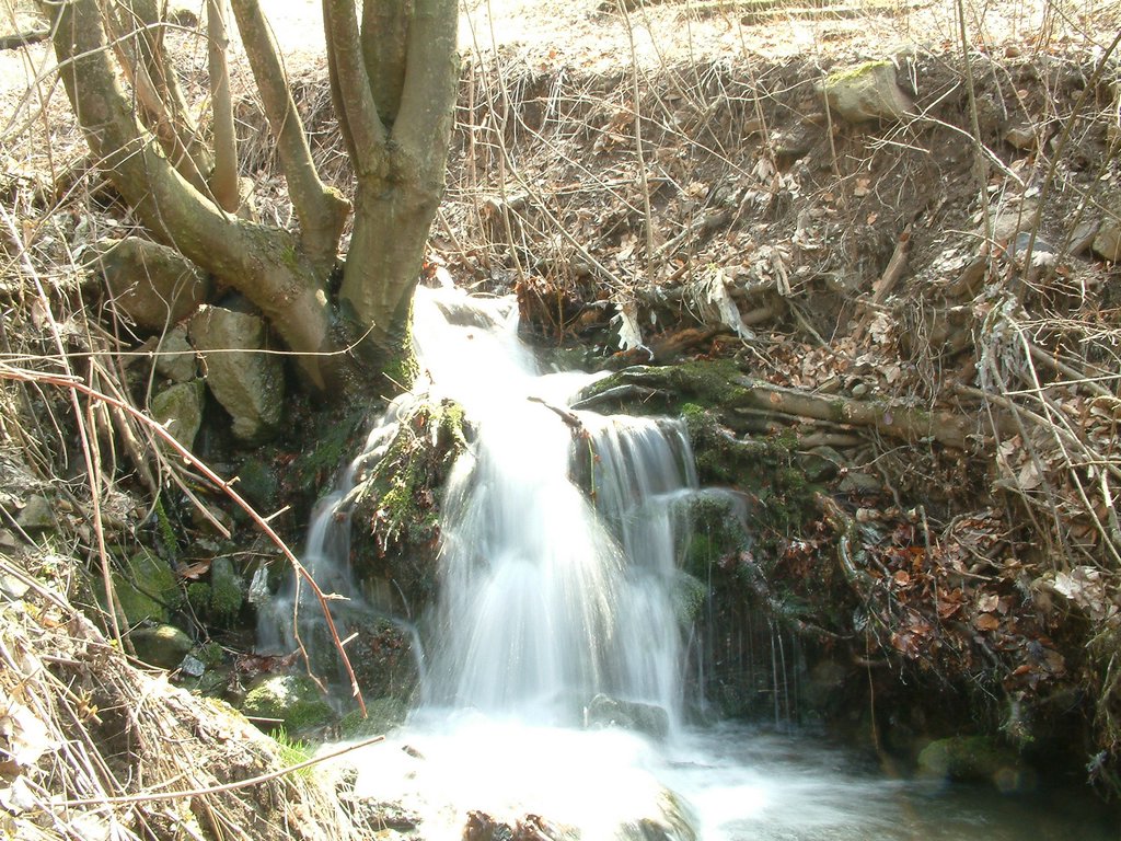 DSCF0107.JPG