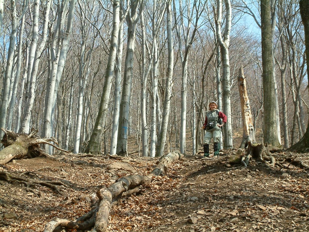 DSCF0110.JPG