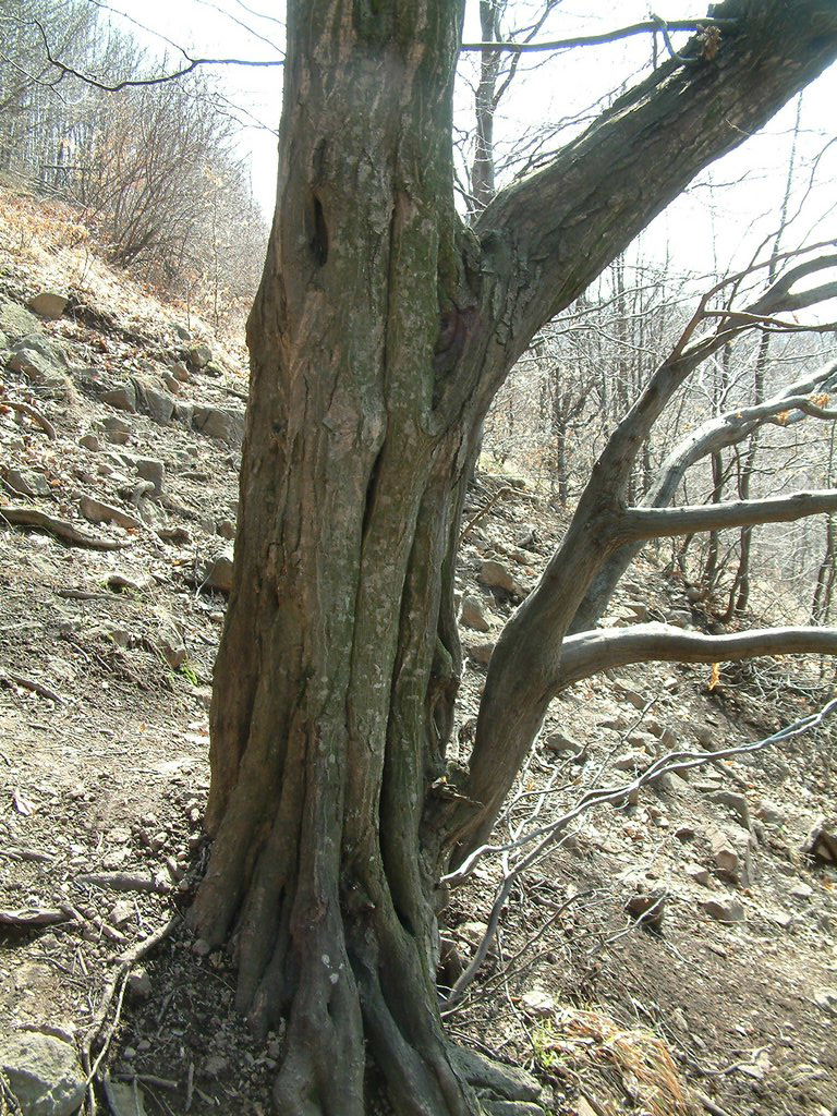 DSCF0112.JPG