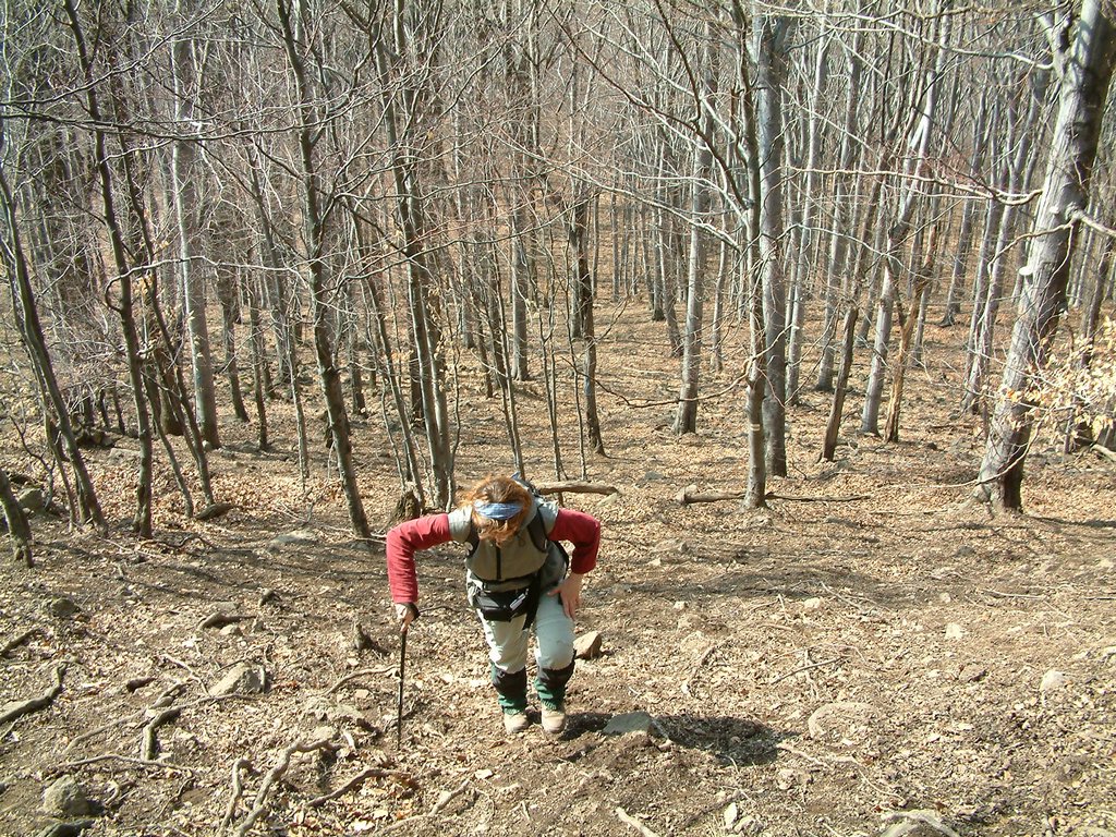 DSCF0113.JPG