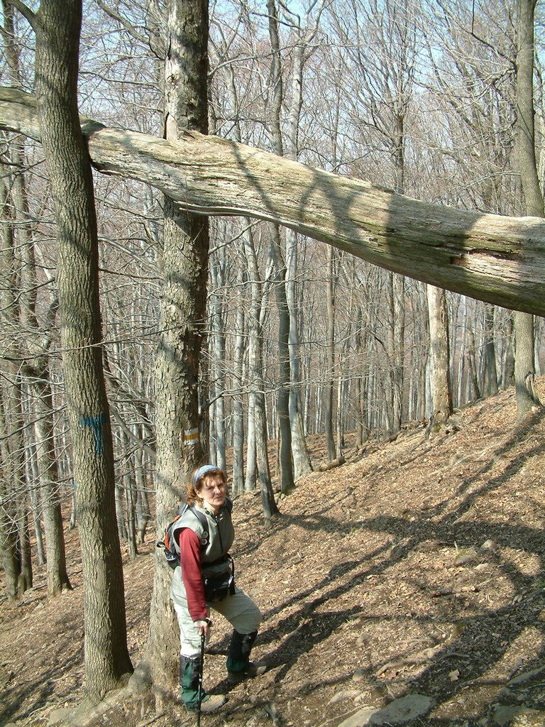 DSCF0114.JPG