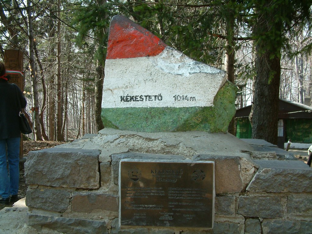 DSCF0140.JPG