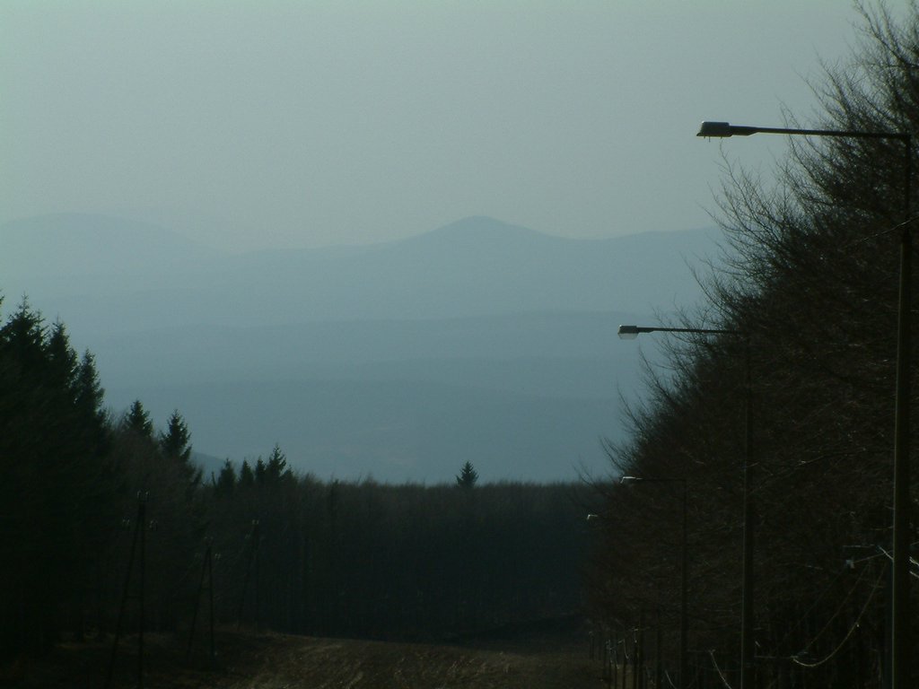DSCF0143.JPG