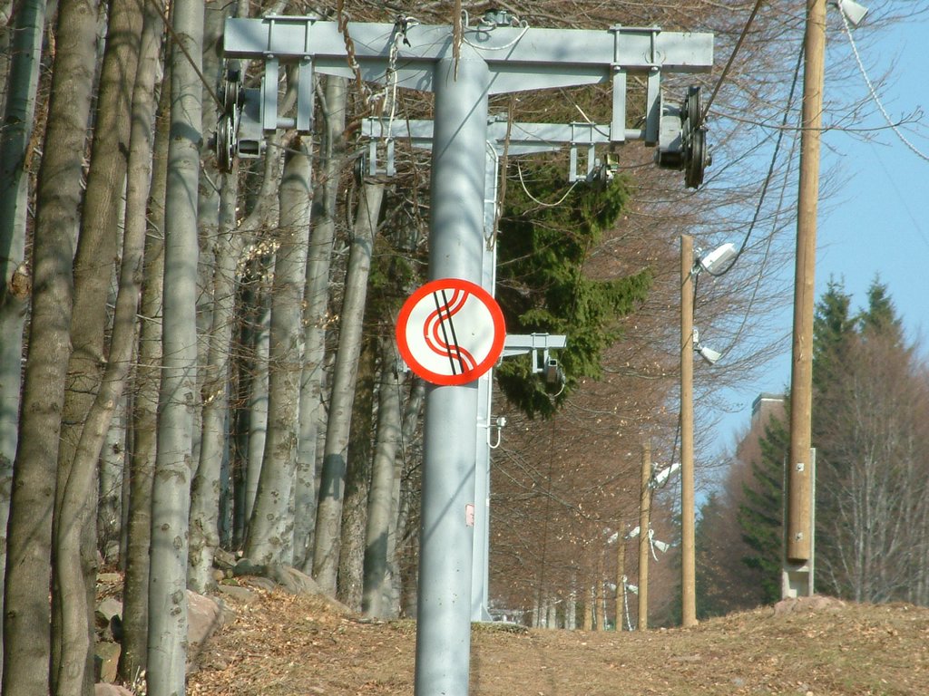 DSCF0144.JPG