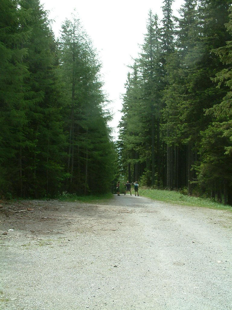 DSCF0233.JPG