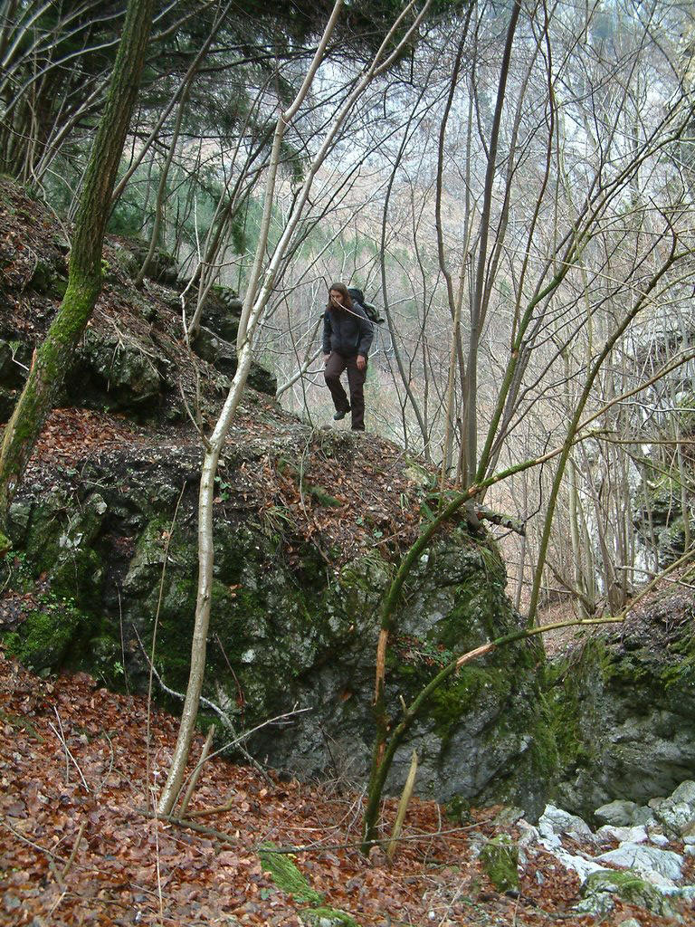 DSCF0011.JPG