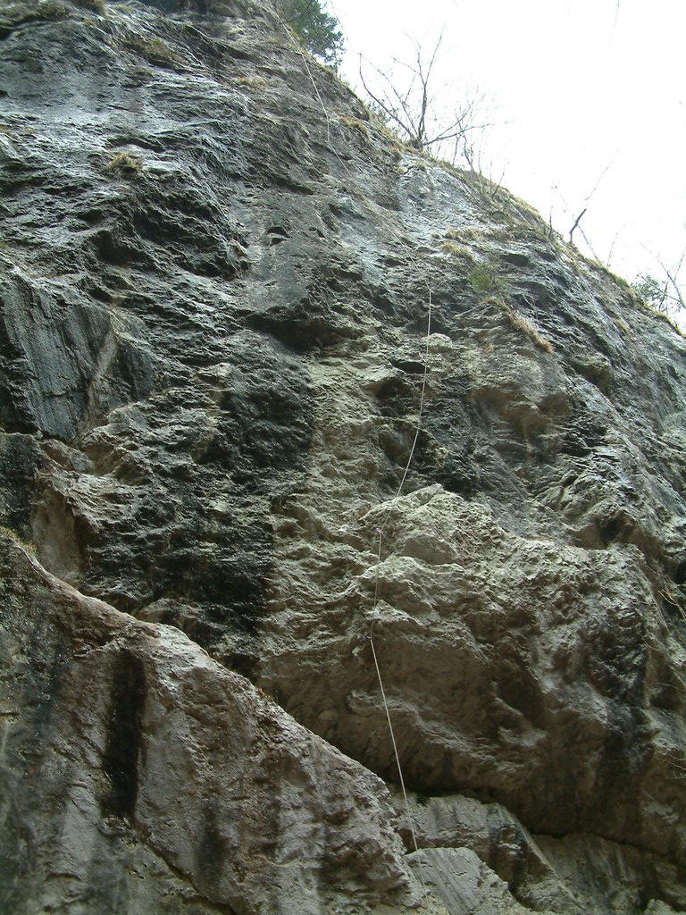 DSCF0013.JPG