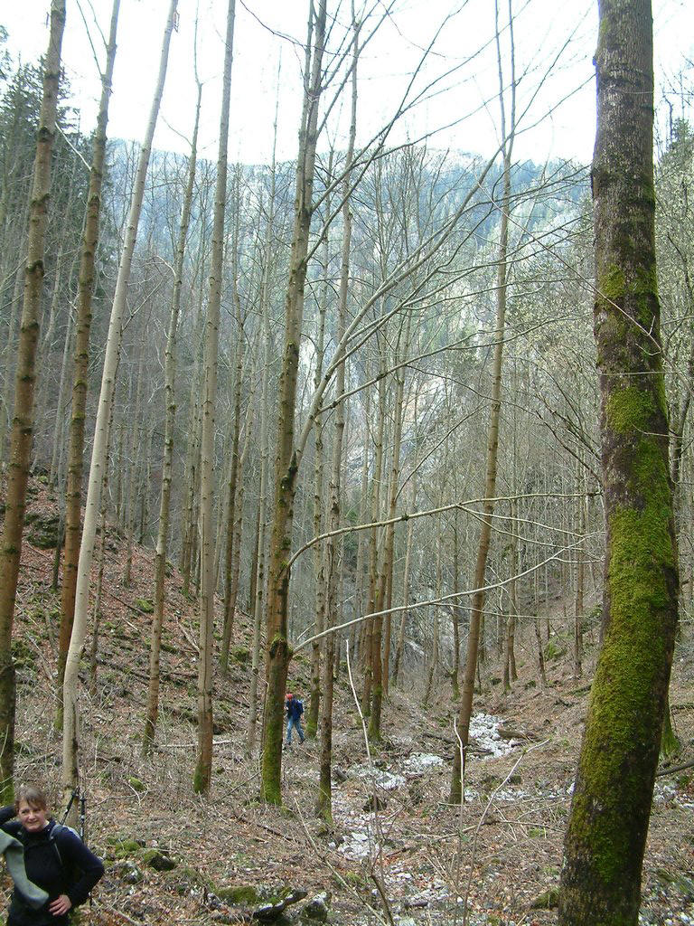 DSCF0016.JPG