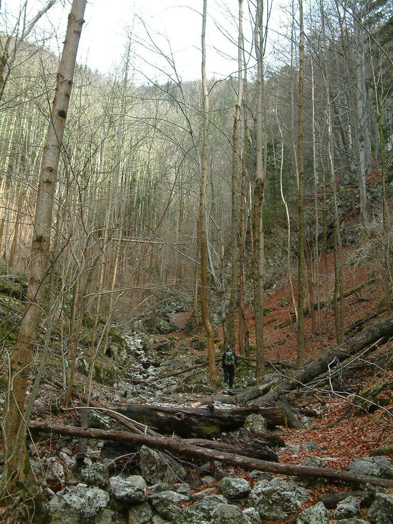 DSCF0019.JPG