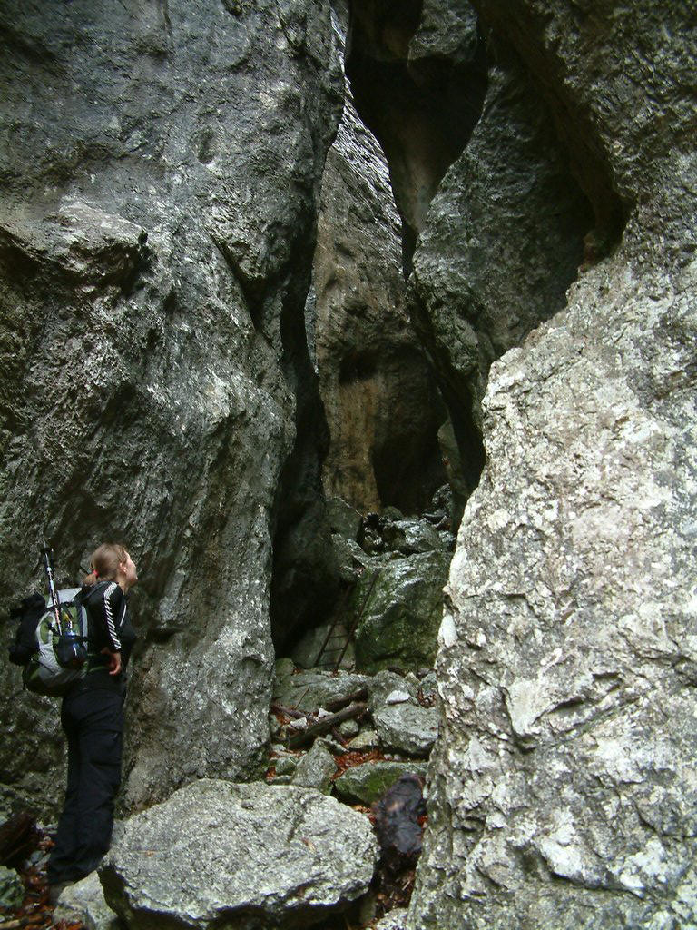 DSCF0022.JPG