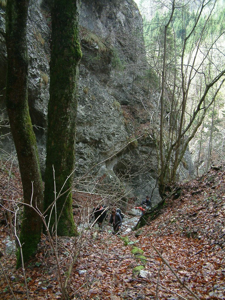 DSCF0023.JPG