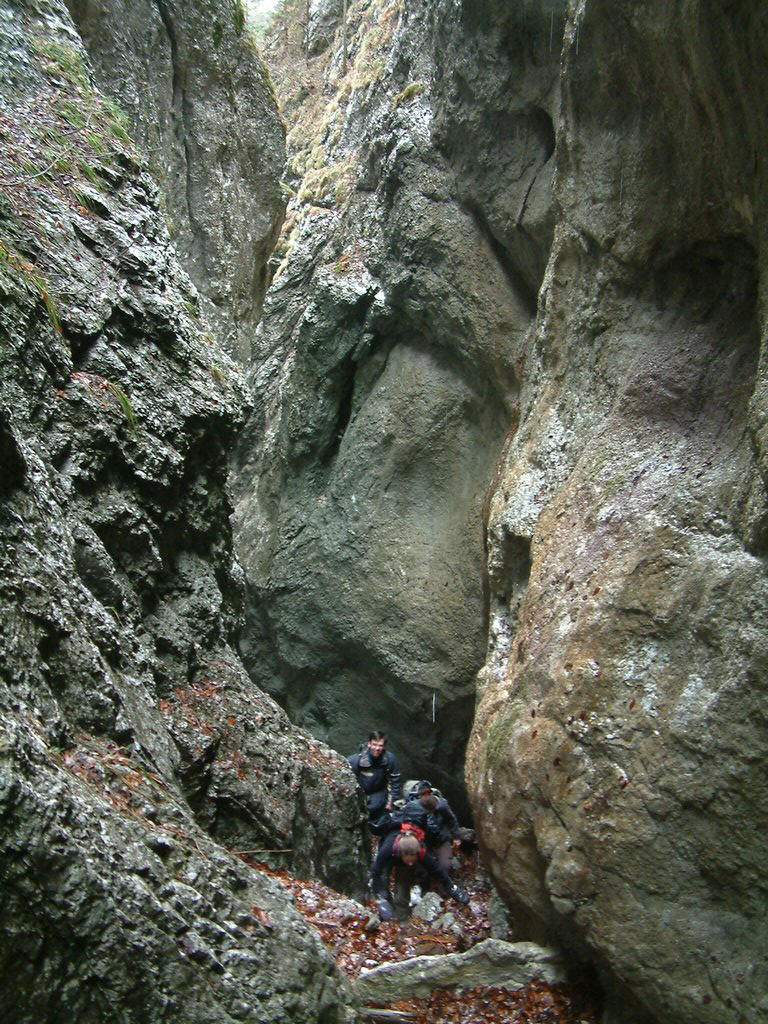 DSCF0026.JPG
