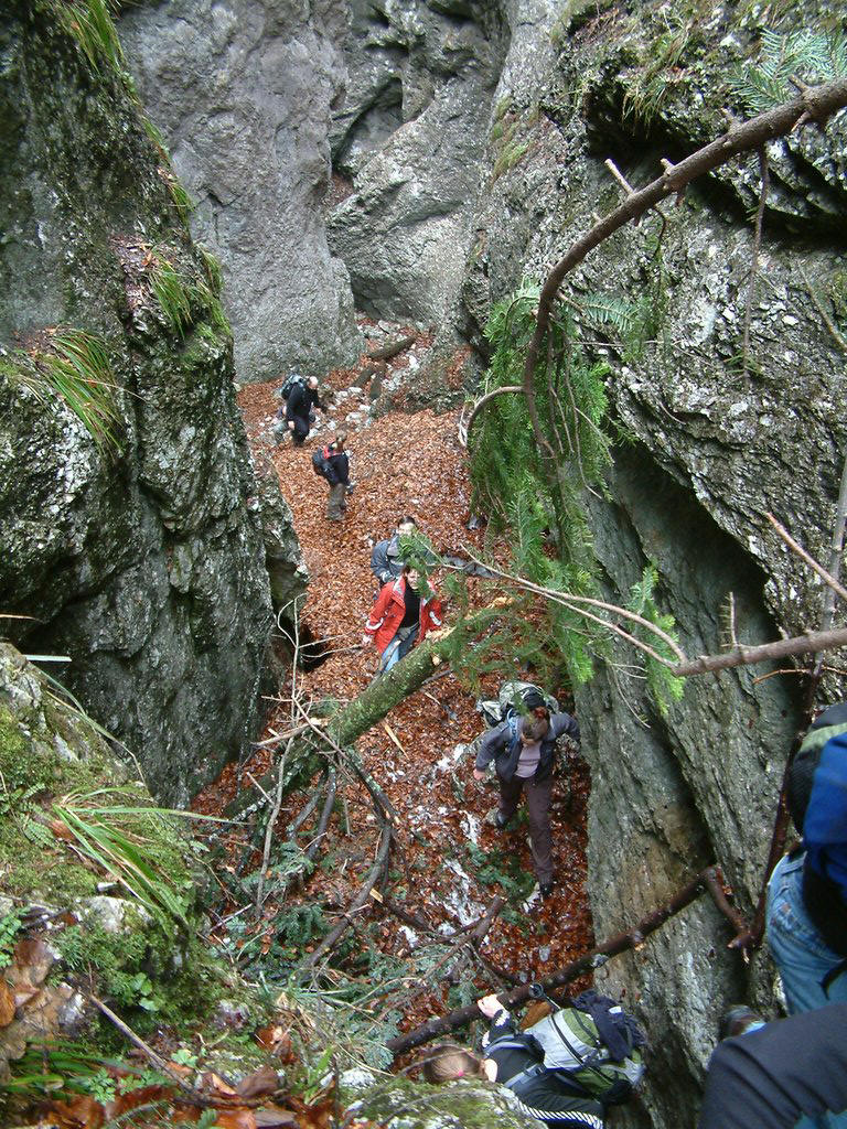 DSCF0029.JPG