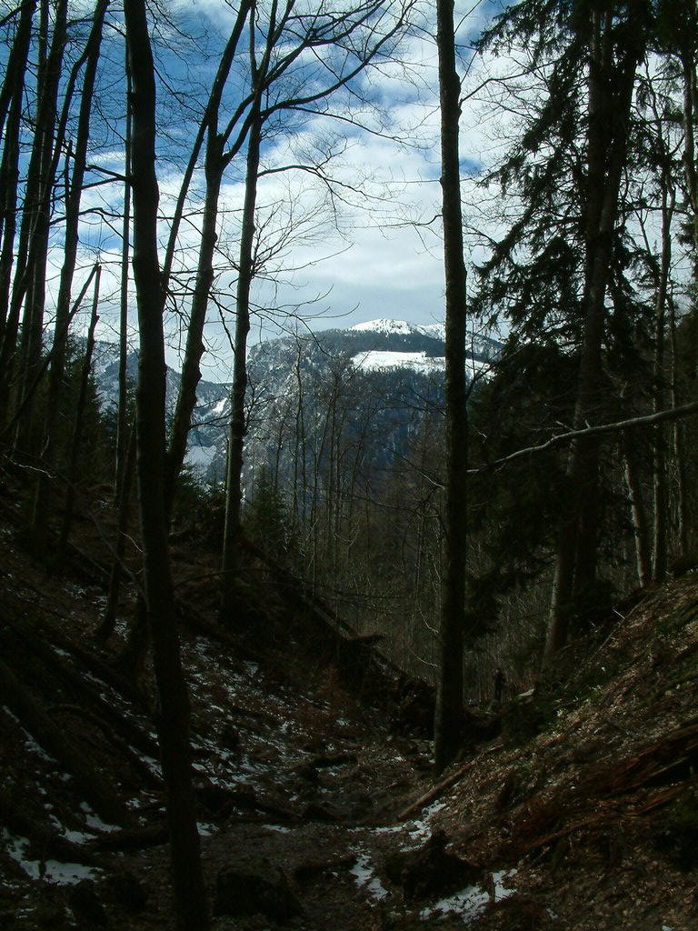 DSCF0042.JPG