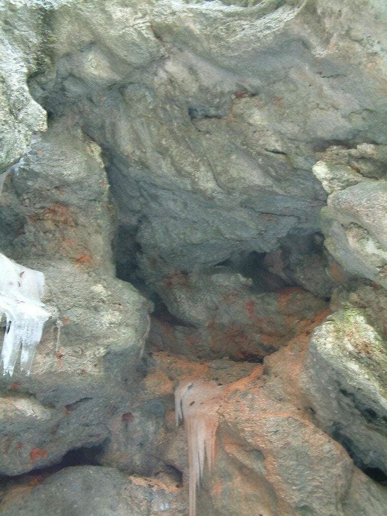 DSCF0055.JPG