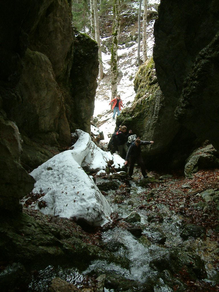 DSCF0056.JPG