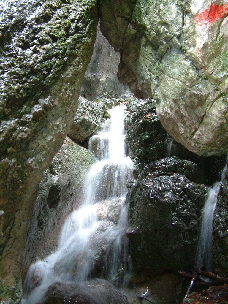 DSCF0058.JPG