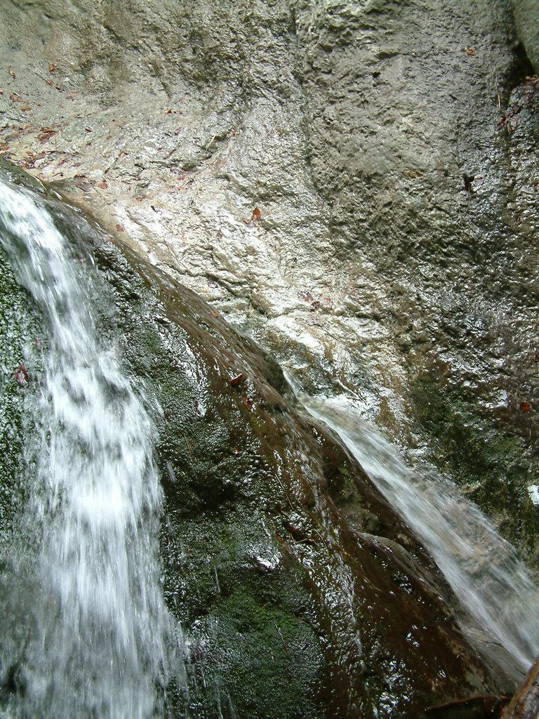 DSCF0060.JPG