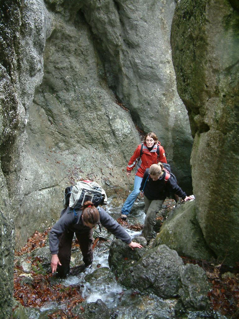 DSCF0064.JPG