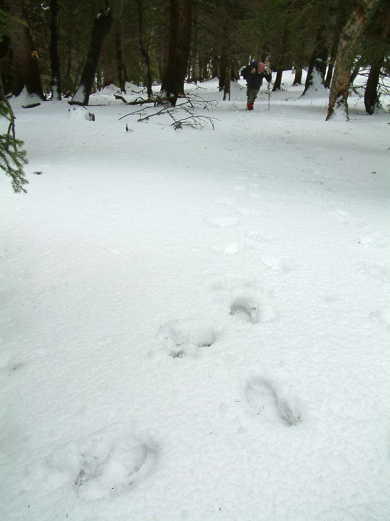 DSCF0094.JPG