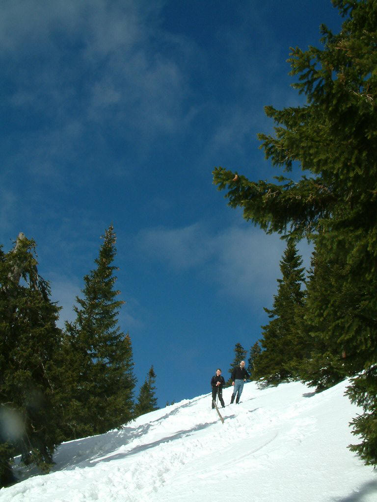 DSCF0100.JPG