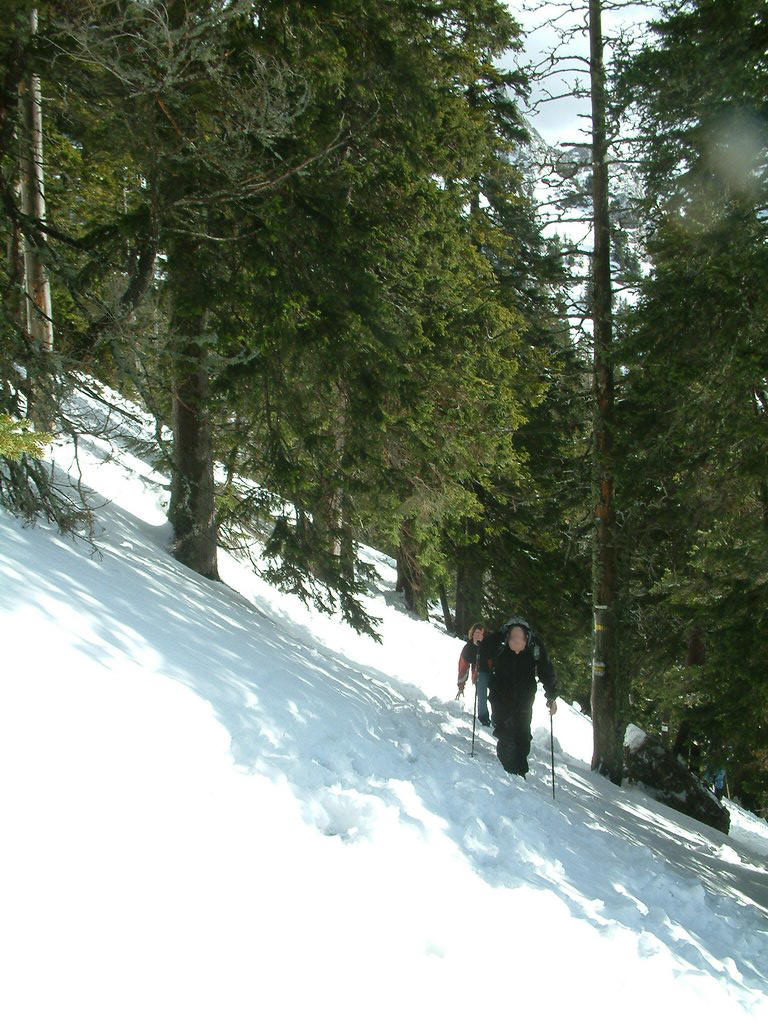DSCF0101.JPG