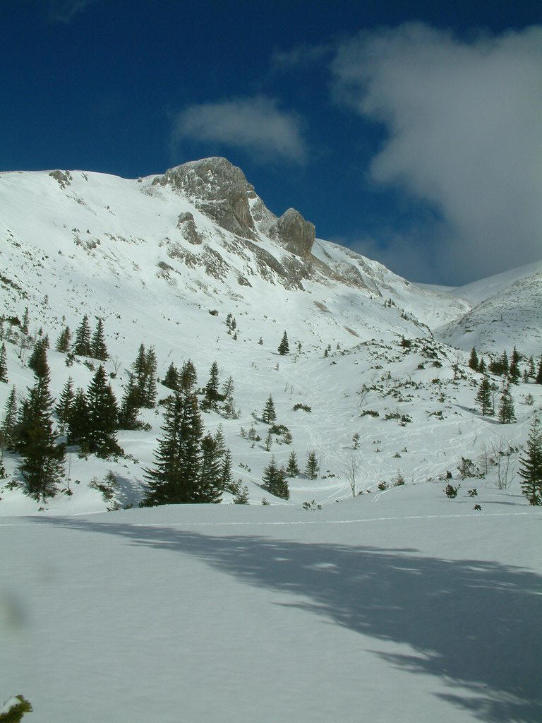 DSCF0110.JPG