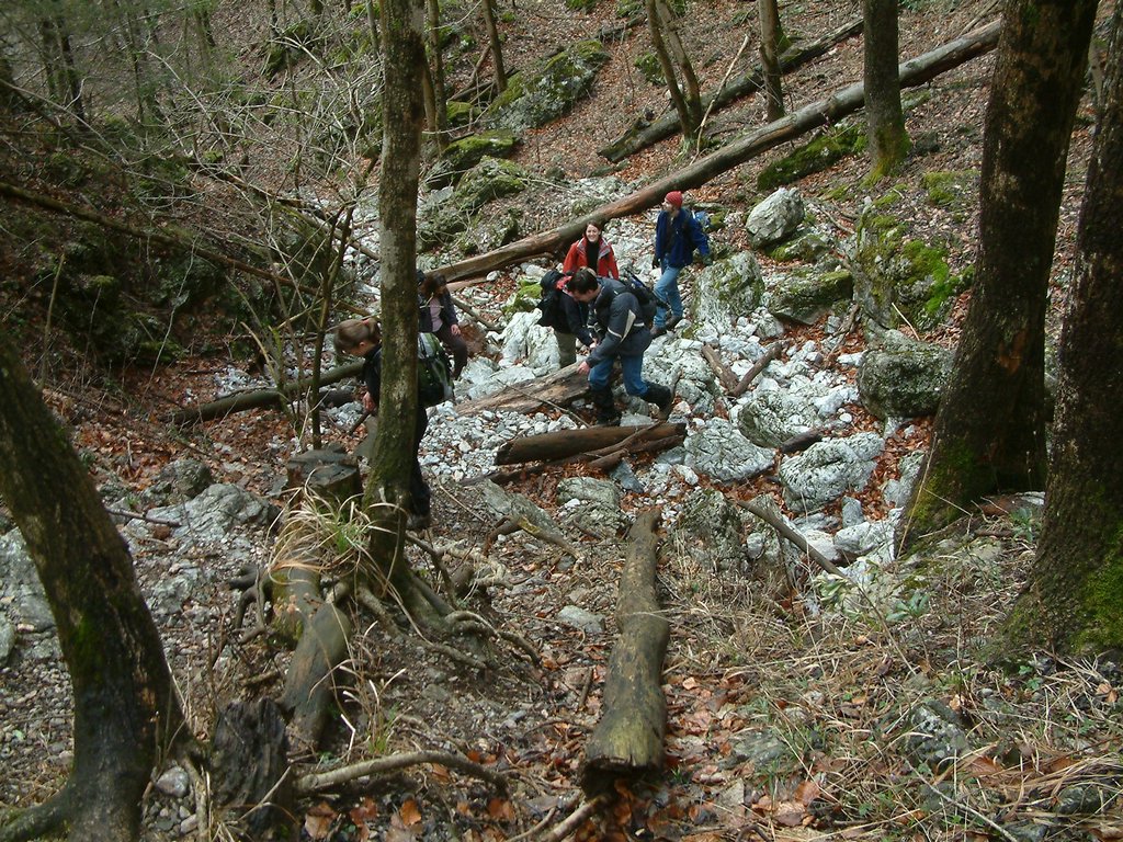 DSCF0018.JPG