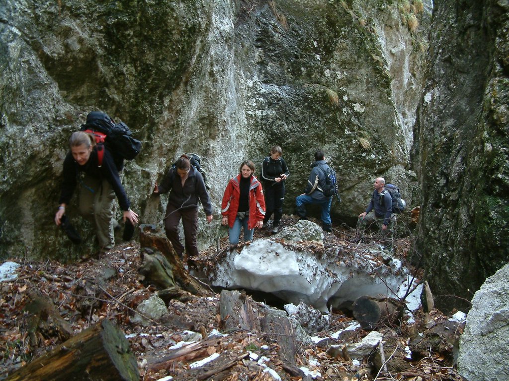 DSCF0037.JPG
