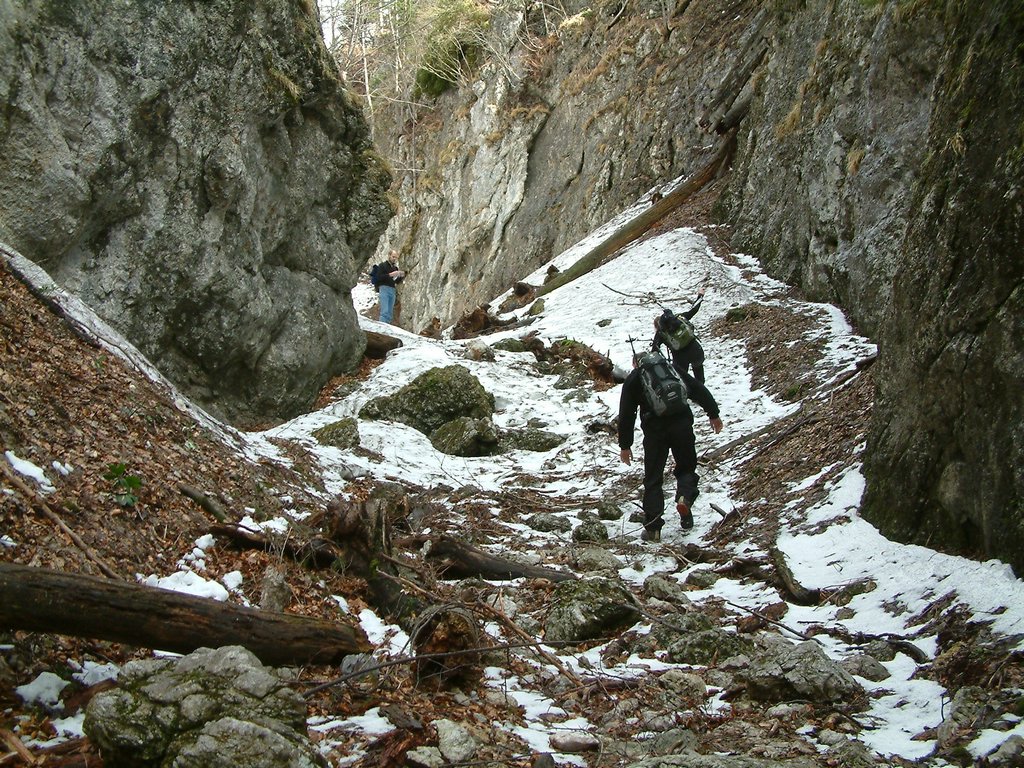 DSCF0043.JPG