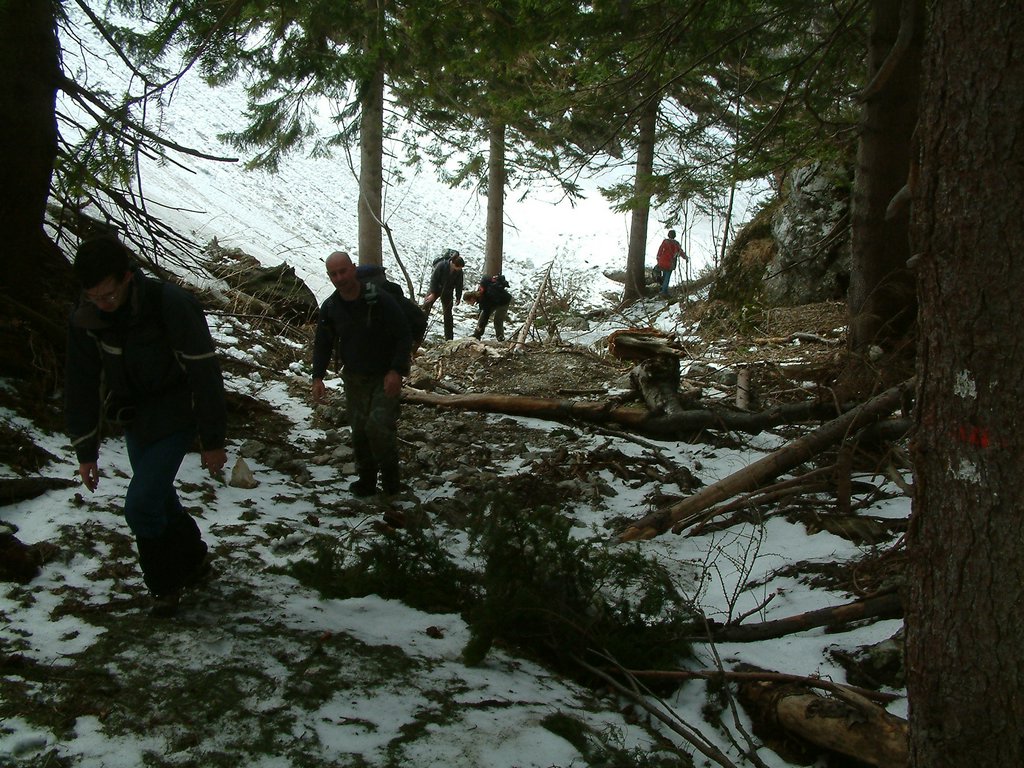 DSCF0049.JPG